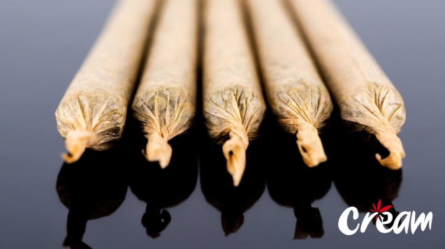 Five pre-roll joints at CREAM cannabis dispensary in Jersey City.