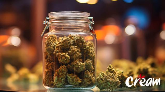 Jar filled with cannabis nugs at CREAM cannabis dispensary in Jersey City.